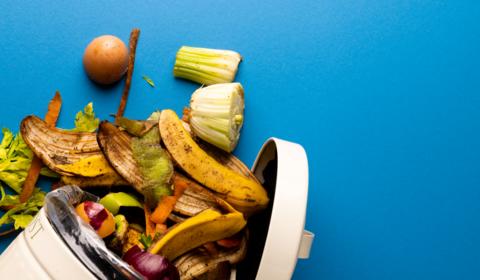 desperdicio_alimentar