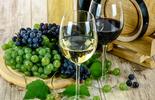 Bureau Veritas integra projeto de certificação de produção sustentável no setor vitivinícola para a região do Alentejo