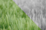 Open Day by BV - NOV-2021