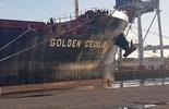 Golden Cecilie