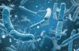 Legionella BV