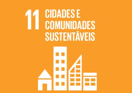 ODS 11