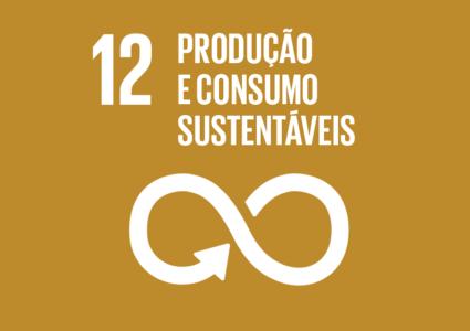 ODS 12