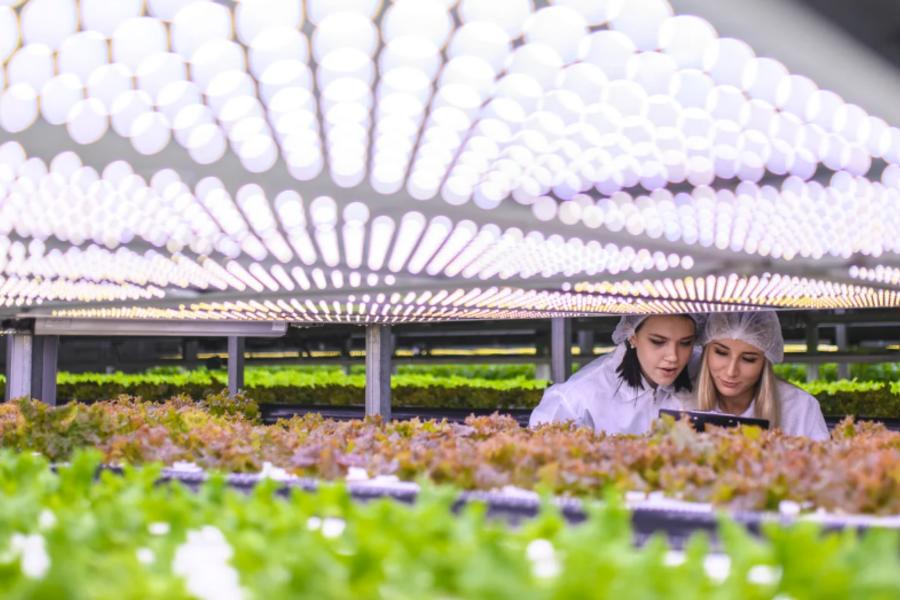 certificacao_agroalimentar